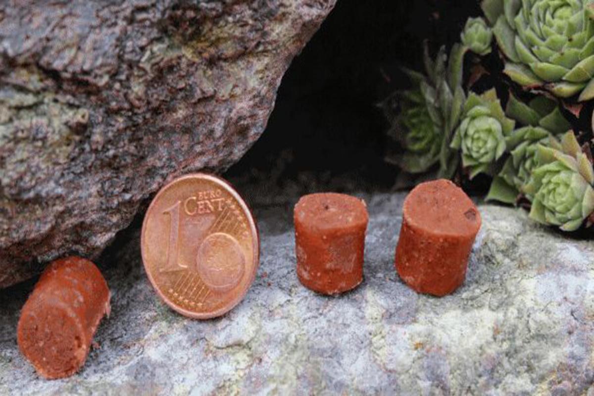 Mini Kartoffelhäppchen Lamm - 150g